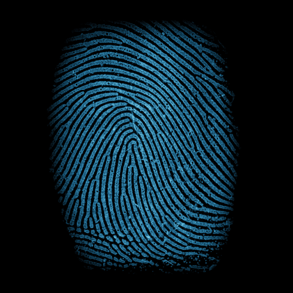 Macro view of fingerprint ridge patterns with blue lighting